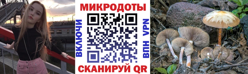 Псилоцибиновые грибы Psilocybe  kraken ССЫЛКА  Среднеуральск 