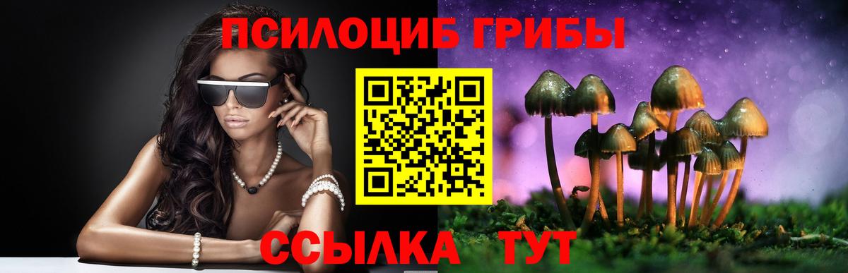 Псилоцибиновые грибы MAGIC MUSHROOMS  Вход с VPN  Среднеуральск 